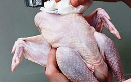 Bắt nam thanh niên đánh đập phụ nữ để cướp con gà