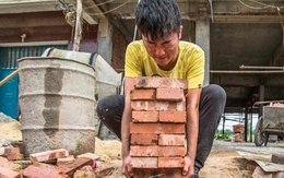 Anh trai 19 tuổi đi phu hồ để cứu em 3 tuổi bị máu trắng