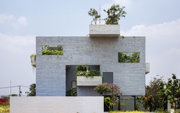 Cận cảnh ngôi nhà là giải pháp hoàn hảo cho những ngôi nhà phố muốn gần gũi với thiên nhiên xanh