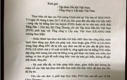 Vụ nhà máy Nhiệt điện Sông Hậu 1: Vẫn “ưu ái” cho nhà thầu dùng thiết bị Trung Quốc?