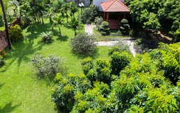 Ngôi nhà vườn rộng 1200m² đẹp ngất ngây, lúc lỉu trái cây ngay ở ngoại thành Hà Nội
