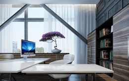 Bí quyết bài trí bàn làm việc giúp người Nhật đạt hiệu quả cao trong công việc