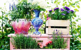 20 cách tạo luống hoa đẹp như chốn mê cung cho khu vườn