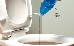 Mẹo thông tắc bồn cầu bằng nước rửa bát, chỉ 20 phút là sạch sẽ