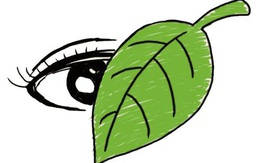 Bài Văn điểm 10 thi đại học: “Thành tích như chiếc lá, đừng để lá che mắt…”