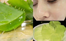 Chỉ cần lấy nha đam làm theo cách này bạn sẽ có làn da trẻ đẹp ngoài sự mong đợi