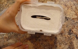 Đổ giấm vào cuộn giấy vệ sinh: Chị em tưởng "vô bổ" nhưng công dụng bất ngờ