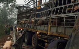Thực hư thông tin xe chở lợn bị lật, người dân thi nhau "hôi của", tài xế van xin còn bị... đánh