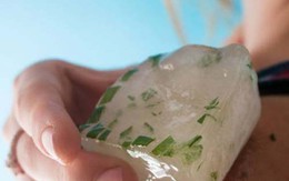 Đông lạnh nha đam rồi chà lên mặt, bí quyết khóa chặt tuổi xuân mà chị em nào cũng nên hay