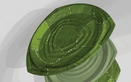 Đã đến lúc bỏ những chiếc đĩa nhựa dùng 1 lần, đây là phát minh cả thế giới đang cần