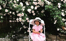 Khu vườn rực rỡ có hàng rào hoa hồng đẹp như cổ tích lại tràn ngập rau trái của mẹ Việt ở Mỹ