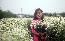 Hà Nội: Bất chấp trời lạnh, nhiều người vẫn ùn ùn kéo đến "thả dáng" với cúc họa mi