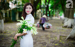 Hoa loa kèn đẹp ngỡ ngàng trên phố Hà Nội tháng Tư