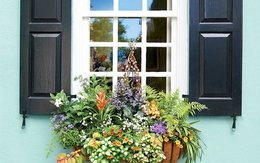 Trang trí cửa sổ xinh lung linh với cách tạo hộp hoa treo đầy hương thơm, màu sắc