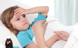 Bệnh thường gặp và món ăn cần tránh (5): Người bị sốt xuất huyết ăn gì để nhanh khỏi nhất?