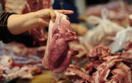 Chuyên gia nói về tác hại khi ăn phải thịt lợn bị tiêm thuốc an thần