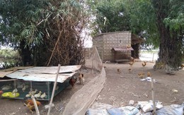 Nghi vấn người đàn ông treo cổ tự tử do làm ăn thua lỗ