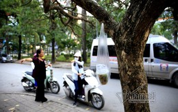 Trả vỉa hè, dân treo hàng lơ lửng cành cây kiếm sống
