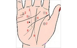 Tự xem số phận theo nhân tướng học: Những đường vân nói gì?