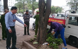 Một phụ nữ bị phạt 6 triệu đồng vì vứt rác ra vỉa hè