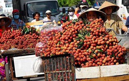 Kỷ lục mới: Rau quả mang về 3,5 tỉ USD cho Việt Nam