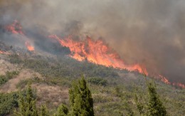 Cháy rừng nghiêm trọng ở California, ít nhất 10 người chết