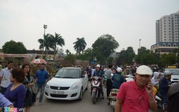 Đào, quất phá giá chiều 29 Tết