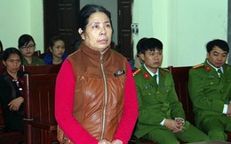 Giúp việc hành hạ con gia chủ lĩnh 15 tháng tù