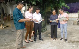 Bước chuyển mới của đồng bào giáo dân Nghệ An về công tác DS - KHHGĐ