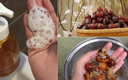 Công thức làm nước rửa bát từ quả bồ hòn siêu dễ chị em đang “lùng sục” khắp nơi