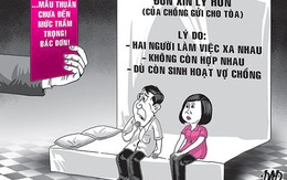 Đòi ly hôn vì vợ không chịu sinh con