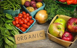 Rau quả, gia vị hữu cơ nhập khẩu hút khách