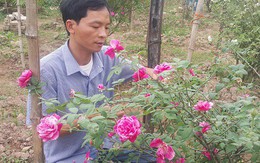 U40 Ninh Bình “liều mạng” cầm cố nhà cửa vì phải lòng hoa hồng cổ