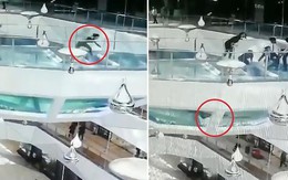 Cô gái sống sót diệu kỳ khi rơi xuống bể chứa 'sát thủ đại dương'