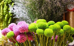 Thị trường 20/10: Xuất hiện nhiều loại hoa có tên... "lạ hoắc"