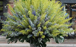 85 triệu đồng một bình hoa cao hai mét ngày 20/10