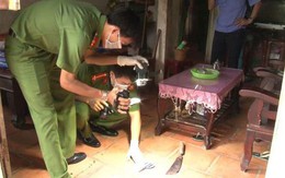 Đá chết con riêng của người tình vì ngủ dậy quấy khóc
