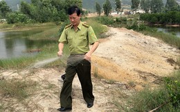 Quảng Ninh: Trưởng ban lâm nghiệp bị hành hung khi đang làm nhiệm vụ