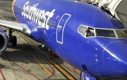 Đang ngủ trên máy bay thì thấy có bàn tay lông lá thò lên sờ ngực