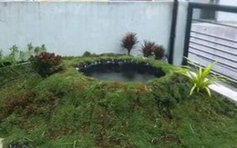Ông bố Sài Gòn cải tạo sân thượng thành vườn sinh thái