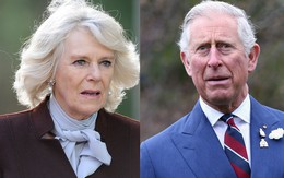 Người hâm mộ chấn động trước tin con trai chung bí mật giữa Thái tử Charles và bà Camilla đòi nhận lại cha mẹ