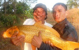 Gia Lai: Săn của hiếm, vật lạ dưới miệng núi lửa khổng lồ