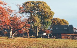 Cuộc sống yên bình bên ngôi nhà gỗ xinh xắn của gia đình 4 người ở vùng nông thôn