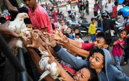 Hình ảnh tang thương chồng chất sau trận thảm họa kép ở Indonesia khiến 1.374 người chết