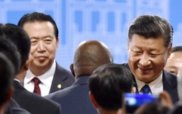 Đường thăng tiến và xuống dốc không phanh của Chủ tịch Interpol bị bắt