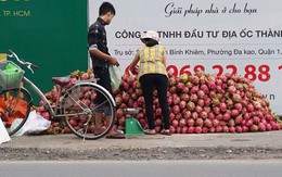 Thanh long Bình Thuận bán lề đường giá 15.000 đồng 2 kg