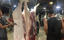 Đầu tháng giá thịt lợn hơi giảm trên diện rộng