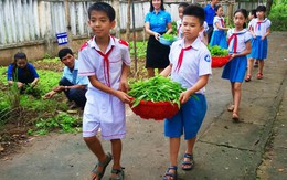 Học sinh tiểu học trồng rau bán lấy tiền giúp bạn