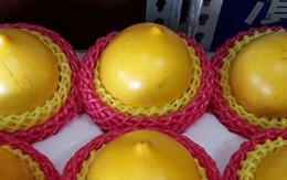 Vú sữa vàng lạ mắt giá lên tới 1 triệu đồng/kg