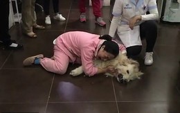 Người phụ nữ khóc thảm gọi tên một cô gái, đằng sau cảnh tượng là sự thật gây phẫn nộ